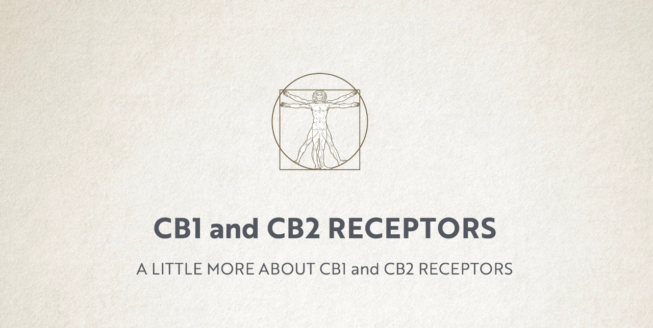 CB1 and CB2 Receptors CB1 and CB2 Receptors