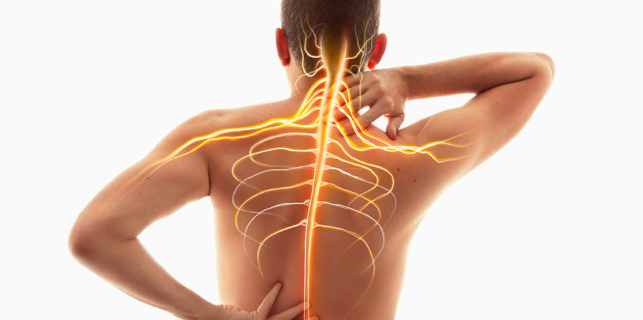 Does CBD Calm the Nervous System? Does CBD Calm the Nervous System?