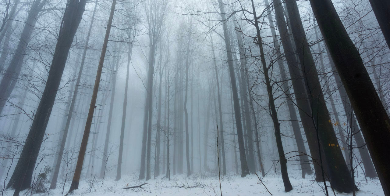 Managing Seasonal Affective Disorder Managing Seasonal Affective Disorder