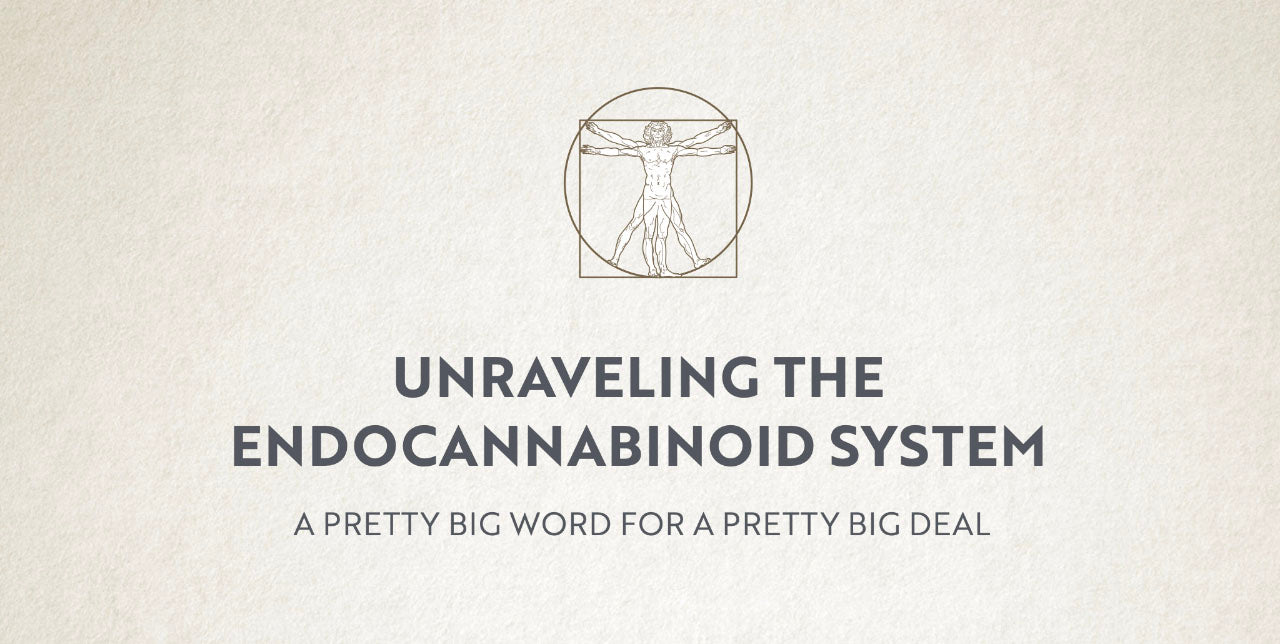 Unraveling the Endocannabinoid System Unraveling the Endocannabinoid System