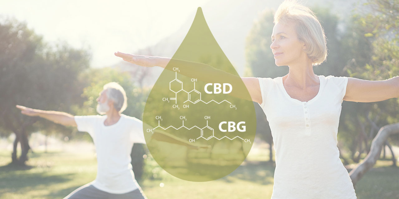 CBG vs. CBD: Unpacking the Differences and Finding Your Ideal Cannabinoid