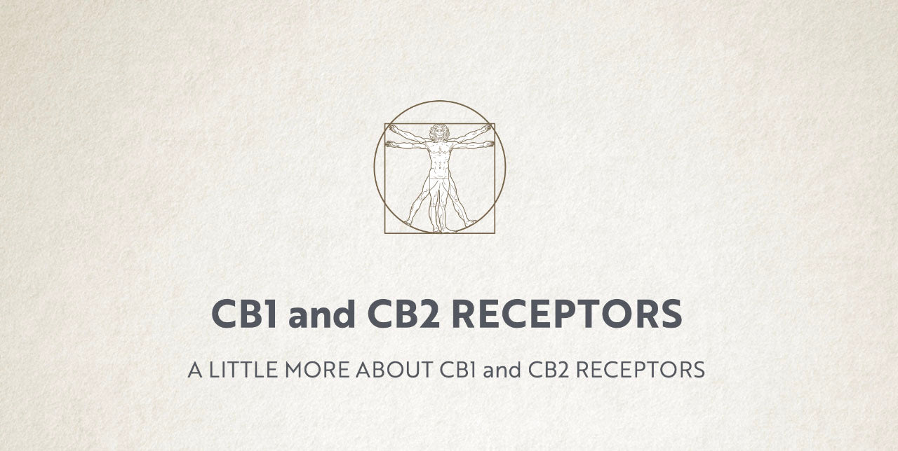 CB1 and CB2 Receptors