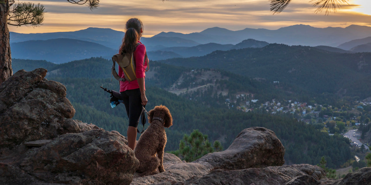 Hiking with Your Dog: 10 Tips for a Safe and Enjoyable Adventure