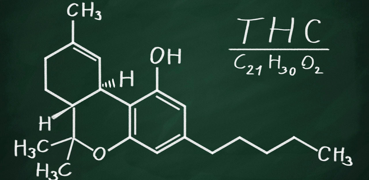 THC Explained: What is Tetrahydrocannabinol