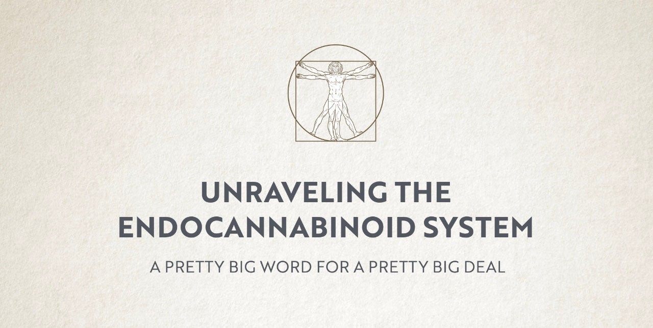 Unraveling the Endocannabinoid System