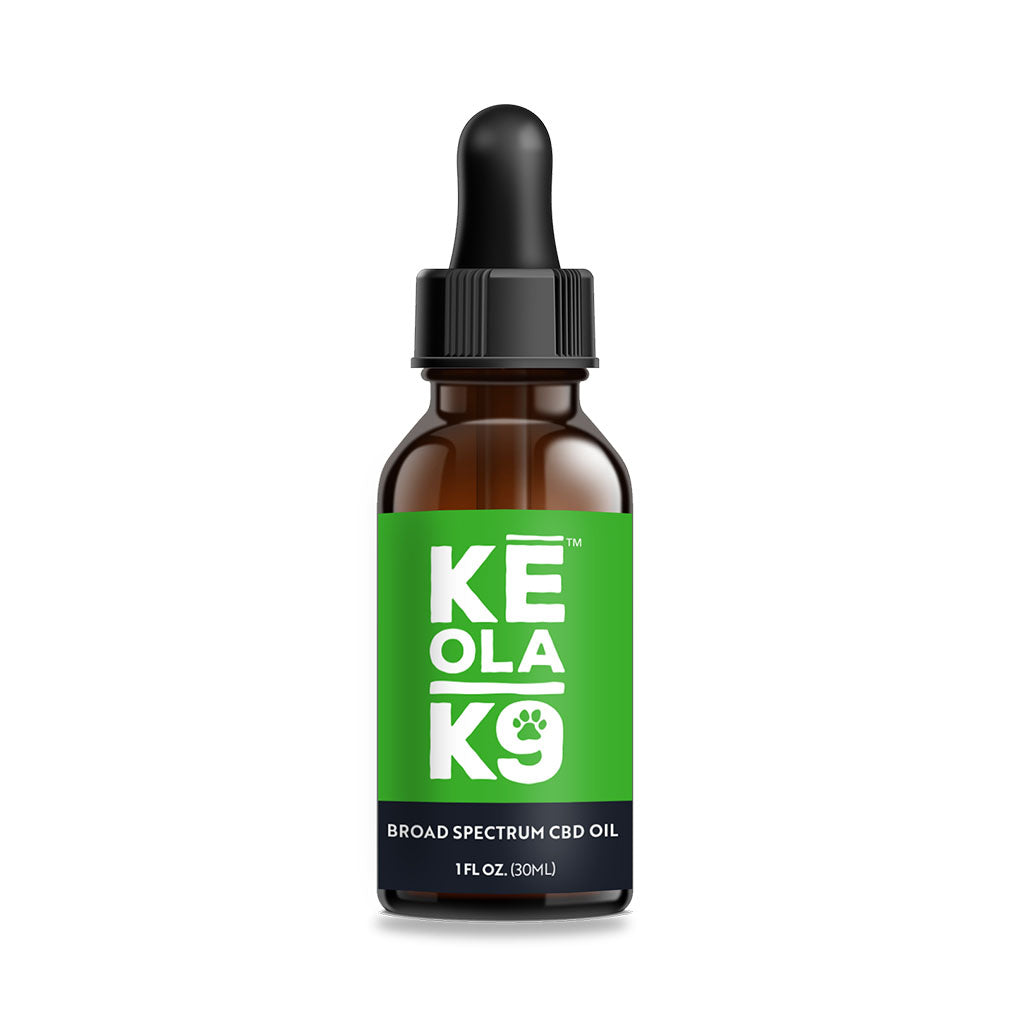 CBD Oil for Dogs 500mg - Bottle and front of label
