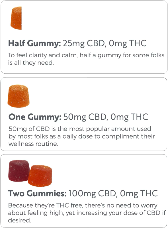 Everyday Broad Spectrum Gummies Dosing Information