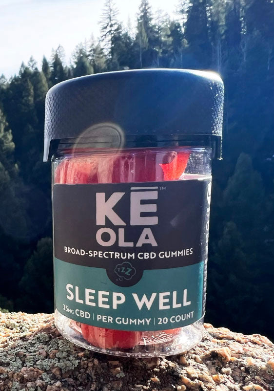 Sleep Well CBD Gummies